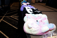 20240302-DSC00560